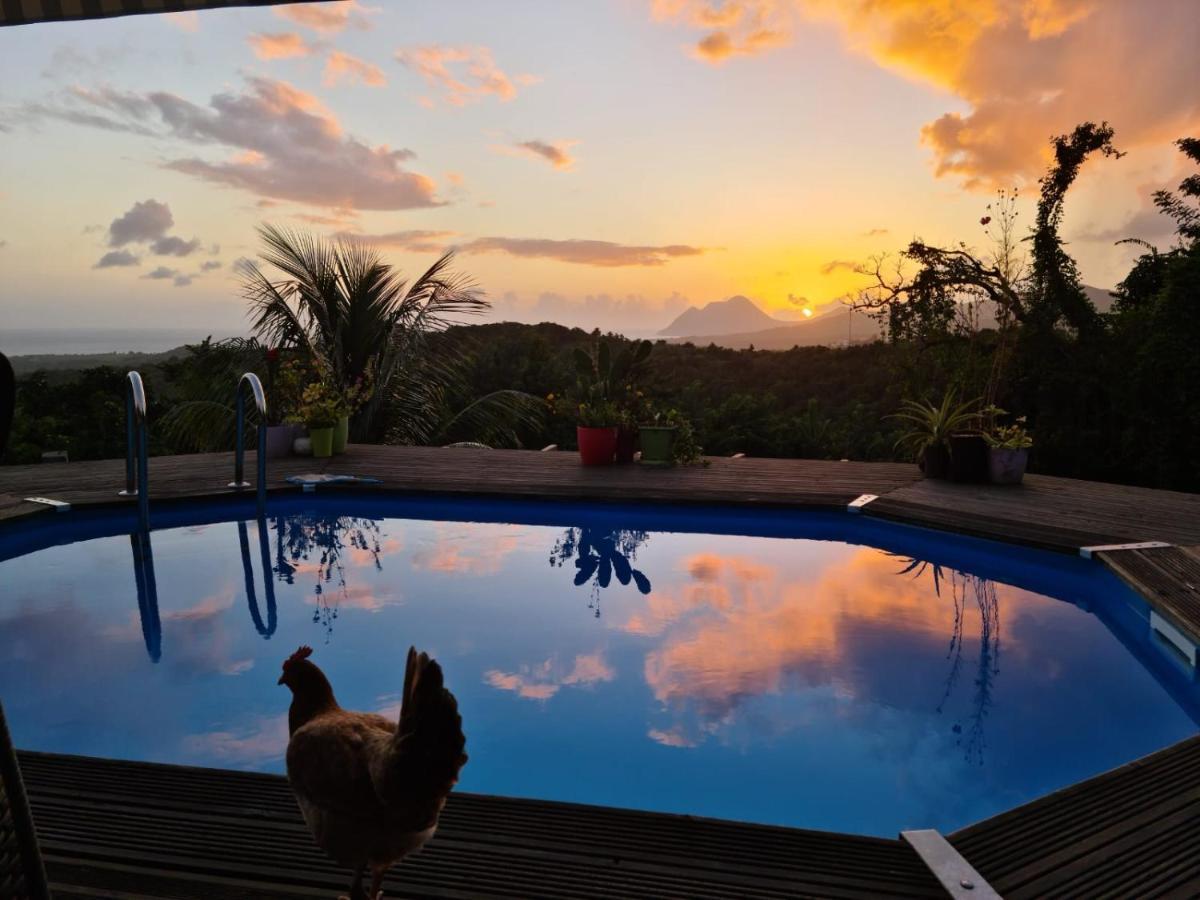 Chambre Chez L'Habitant Avec Piscine Privative Et Vue Panoramique Sur La Mer Des Caraibes Desmarinieres Bagian luar foto
